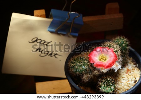 Low key picture of flowers cactus and paper note with word "Good bye" on black background, Selective focus light and shadow.
