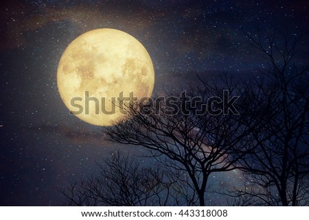 Milky Way star in night skies, full moon and old tree - Retro style artwork with vintage color tone (Elements of this moon image furnished by NASA)