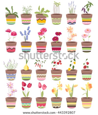  Spring flowers and summer vegetables in pots. Objects for your design, advertisement, posters.