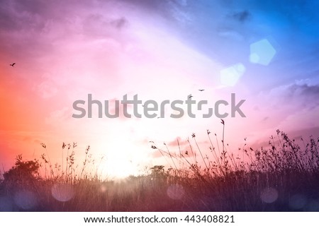 Summer holiday concept: Meadow landscape autumn sunset background