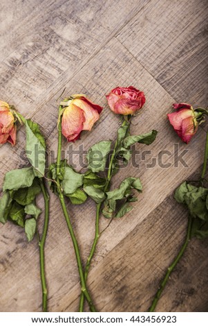 faded roses on the wooden table,retro style