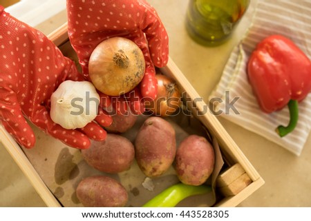 Two hands wearing red garden gloves presenting onion and garlic with other vegetables seen below