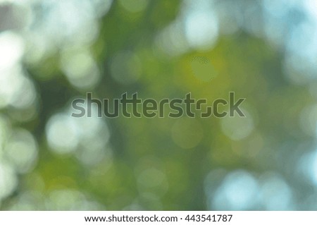 Background, texture, green, natural,banner, bokeh, shade, artist