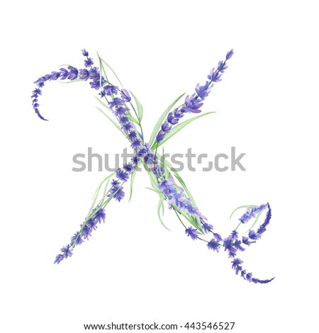 Capital letter X of watercolor lavender flowers, isolated hand drawn on a white background, wedding design, english alphabet for the festive and wedding decor and cards