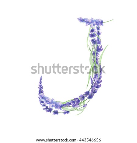 Capital letter J of watercolor lavender flowers, isolated hand drawn on a white background, wedding design, english alphabet for the festive and wedding decor and cards