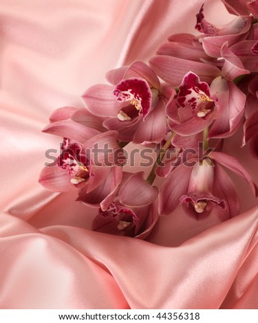 Orchid and Silk