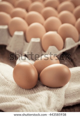Chicken Egg on paper tray package - vintage effect style pictures.