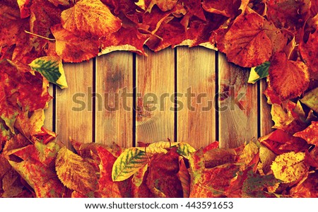The frame of the old autumn leaves on the old wooden background. Photo in vintage style