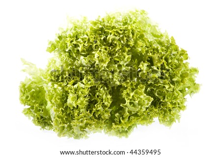 Green salad isolated on a white background