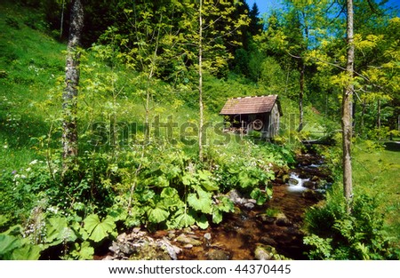 romantic scenic with river and mill in the black forest