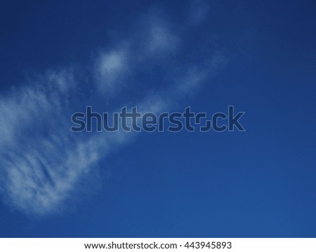 blue sky with light cloud background, natural creature.
