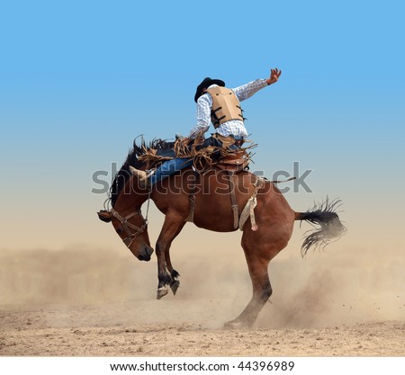 Bucking Rodeo Horse isolated with clipping path Royalty-Free Stock Photo #44396989