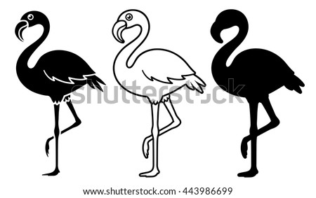 Flamingo silhouettes set isolated on white - vector illustration Royalty-Free Stock Photo #443986699
