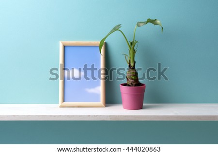  houseplant on the shelf and a blue background