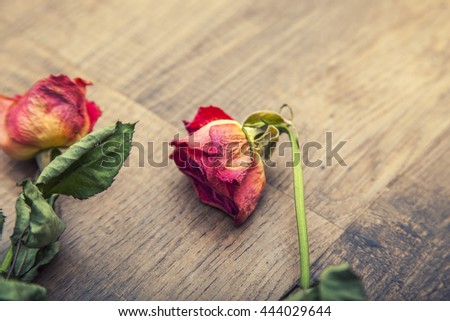 faded roses on the wooden table,retro style