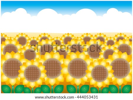 Sunflower Type-C