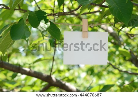 White card on  green leaves background