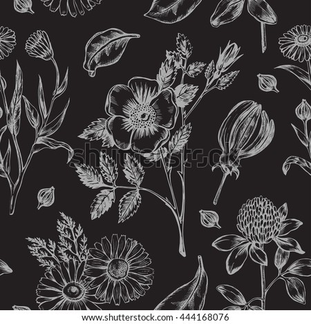 Seamless decorative pattern with herbs. Vector illustration.