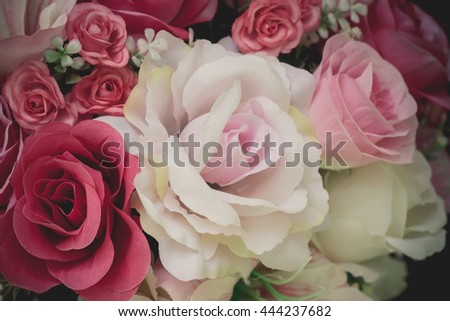 beautiful pink rose flower close-up. Custom made