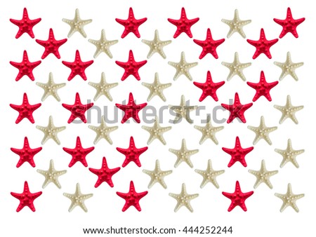 New York logo inlaid starfish