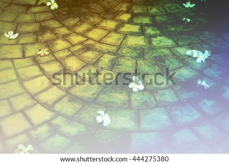 Details of circle design stone floor tiles with color filters