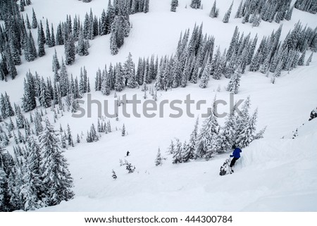 Snow covered hill, Jackson Hole, Wyoming