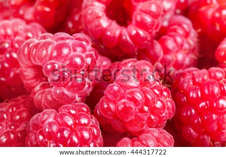 ripe raspberries. Red juicy berries closeup. Macro. Background of the berries. Stock photos.