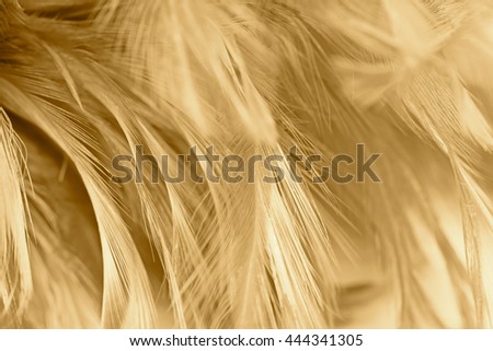 Brown vintage color trends chicken feather texture background