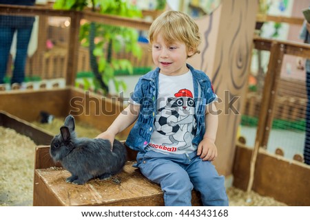 Boy play with the rabbits in the petting zoo