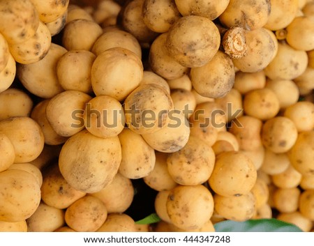  a selective focus picture of langsat fruit 