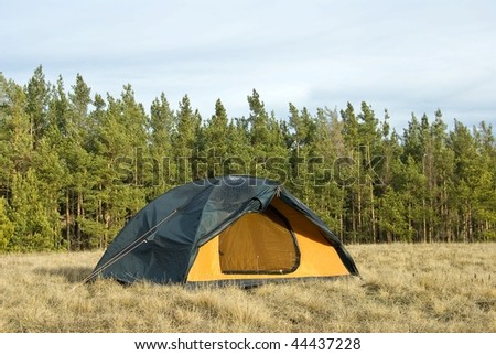 touristic tent in a forest glade