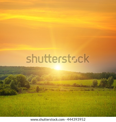 field, sunrise and blue sky Royalty-Free Stock Photo #444393952