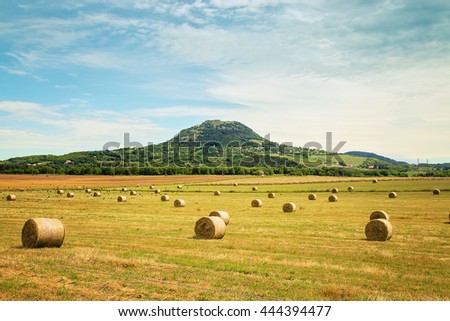 Field of hay bale at the foot of the mountain