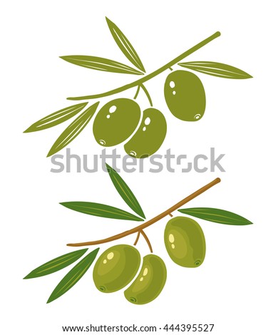 Set vector illustration green  olives 