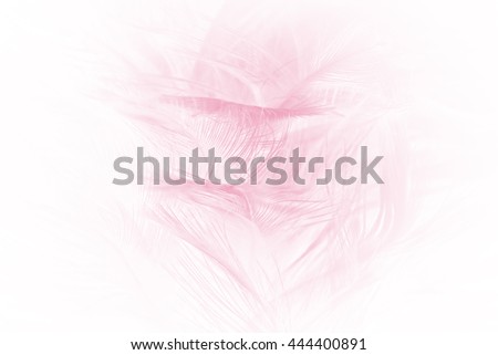 blur soft pink chicken feather abstract texture background