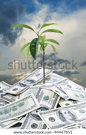 Tree growing on dollar soil against the sky