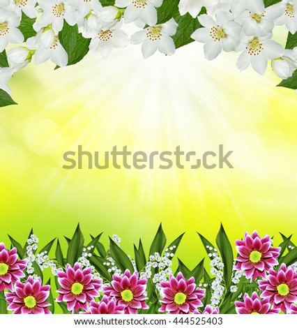 Spring landscape with delicate jasmine flowers