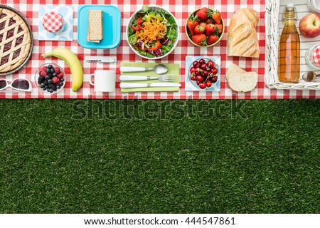 Summertime picnic on the grass with checked tablecloth and healthy food, flat lay banner