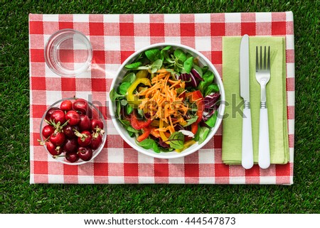 Fresh healthy salad and table set on the grass, picnic and healthy eating concept