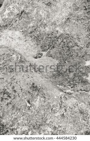 Black and white photo closeup on moss stone texture copy space background