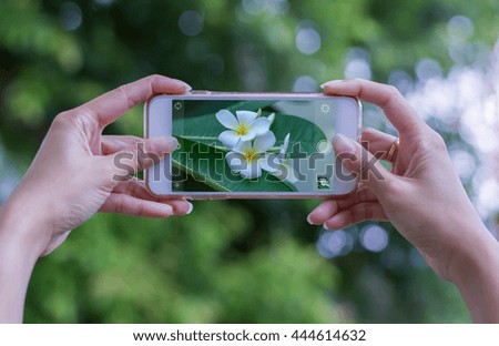 Woman using a smart phone take flower photo,The concept is the Smart Phone High Resolution Camera