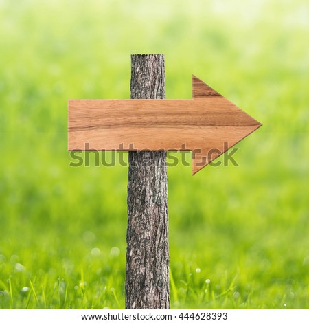 Wooden arrow sign board texture and background in green field area.