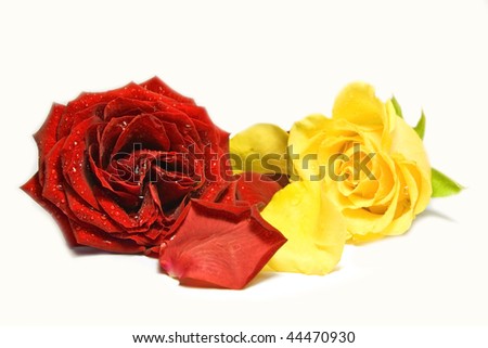 yellow and red rose composition