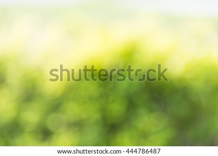 Abstract picture of flower meadow with green,yellow and violet flowers. Defocused picture. Blured background.