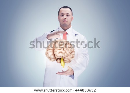 Doctor with stethoscope and brains on the hands. gray background. High resolution.