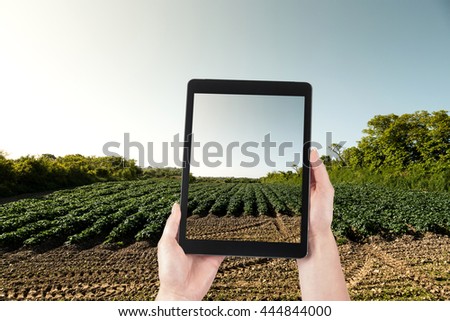 Woman farmer uses a tablet in agriculture