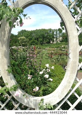 Flowers in Nature looking through white picture frame in Botanic Garden, NYC