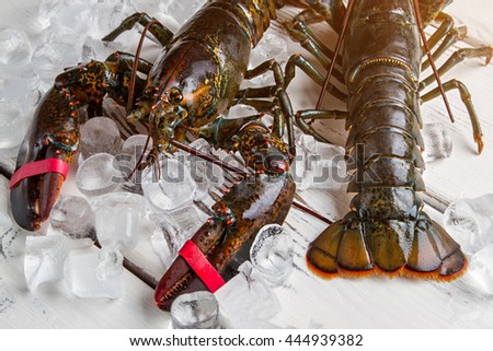 Ice cubes beside raw lobsters. Lobsters on wooden surface. Special dish from the menu. Seafood rich in protein.
