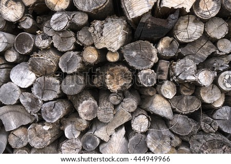 pattern,texture of cross cut  timber for firewood in farm.
