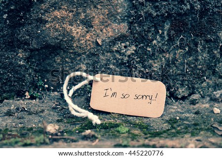 Sorry background on old cement wall, I'm so sorry text is message when make hurt for someone